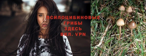гидропоника Алексеевка